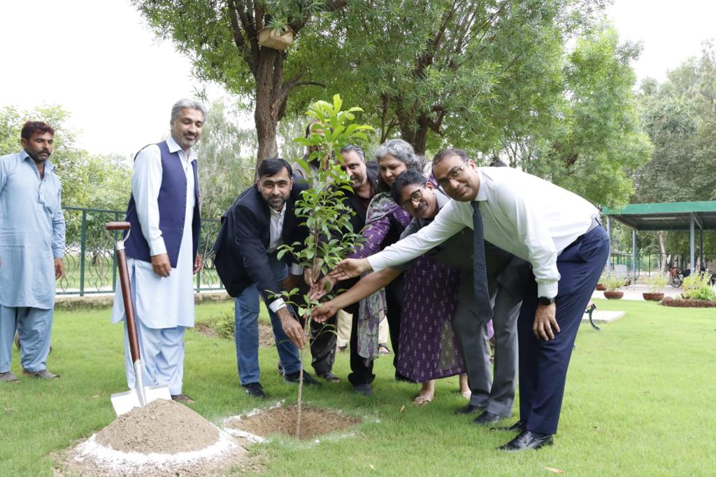 Greening the campus