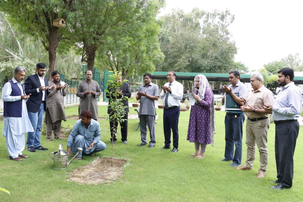 Prayer for a greener future