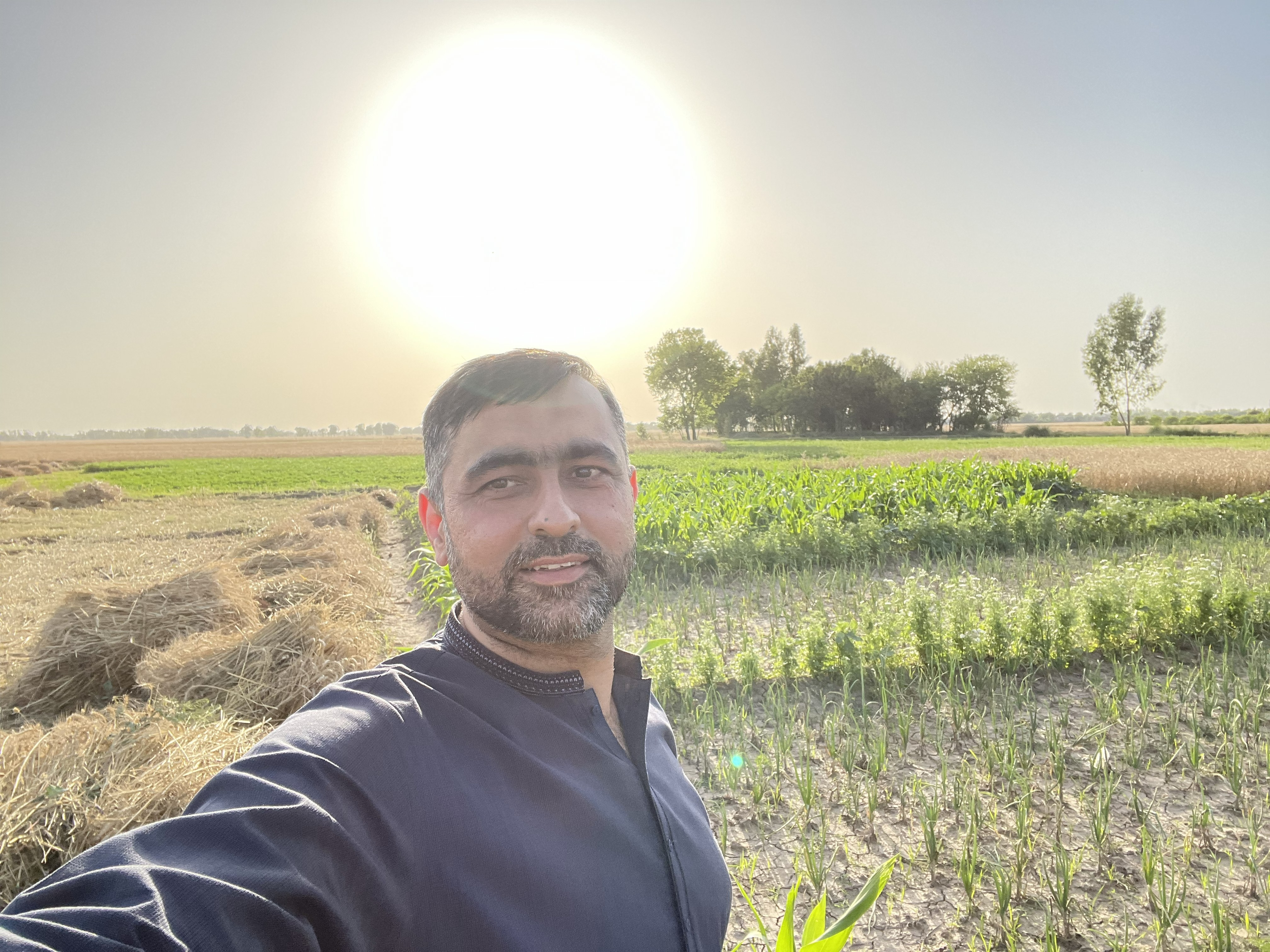 Ehsan M Azhar